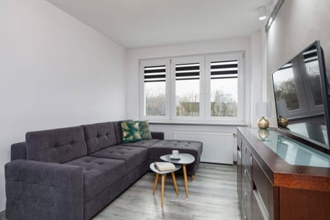 A modern living room with a gray sofa, TV, and bright windows, creating a cozy atmosphere.
