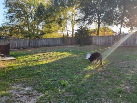 Large Backyard with Brick Grill