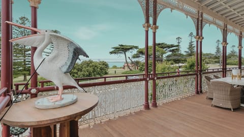 Pelicans