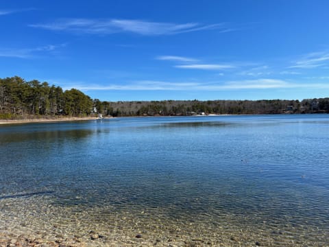 The Lake