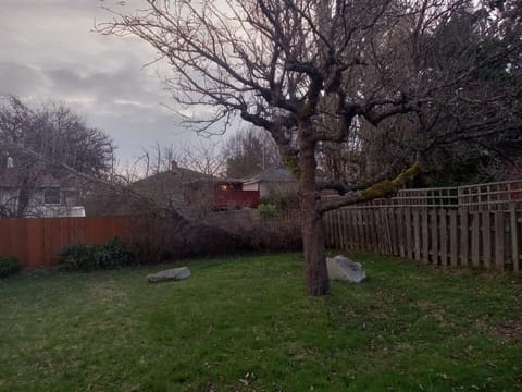 Large private back yard to relax in.