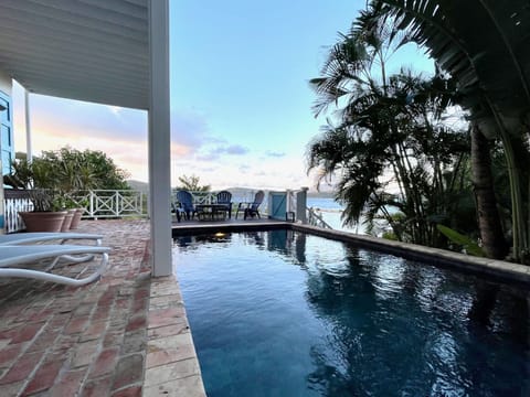 Pool deck surrounded by lush landscaping