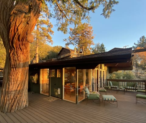 Large Deck