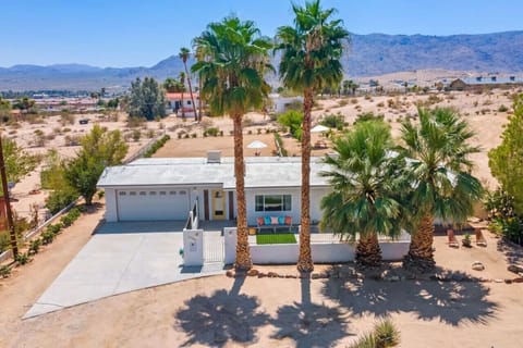 Welcome to the Hollywood Oasis!