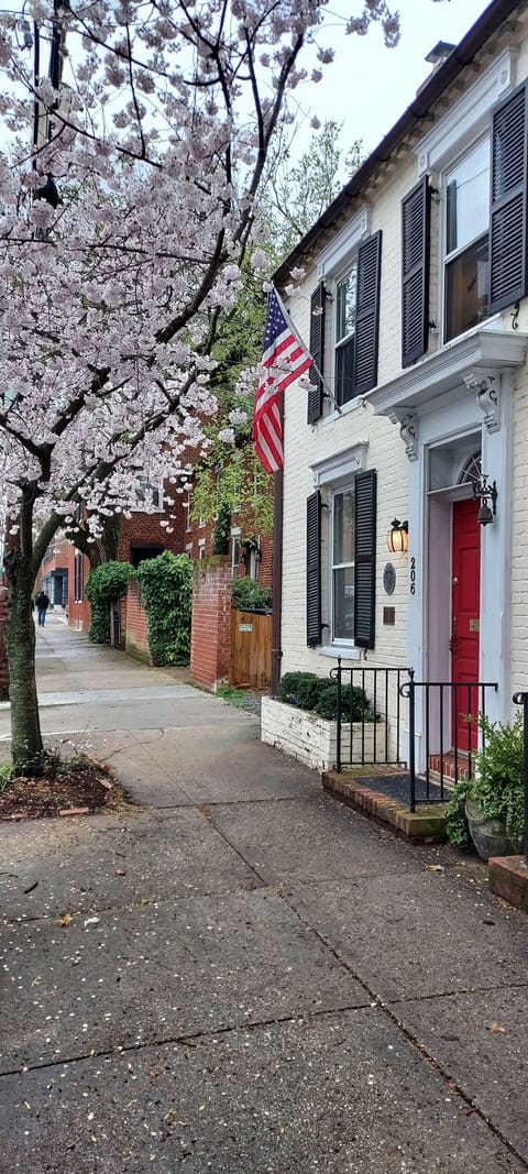 Springtime in Old Town