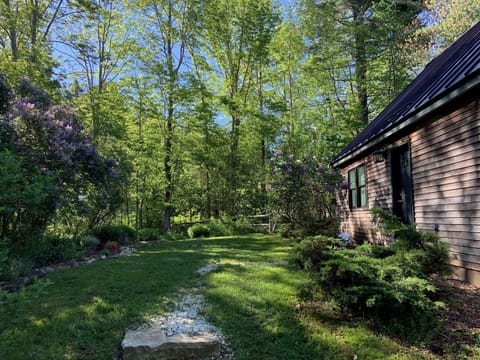 Front yard
