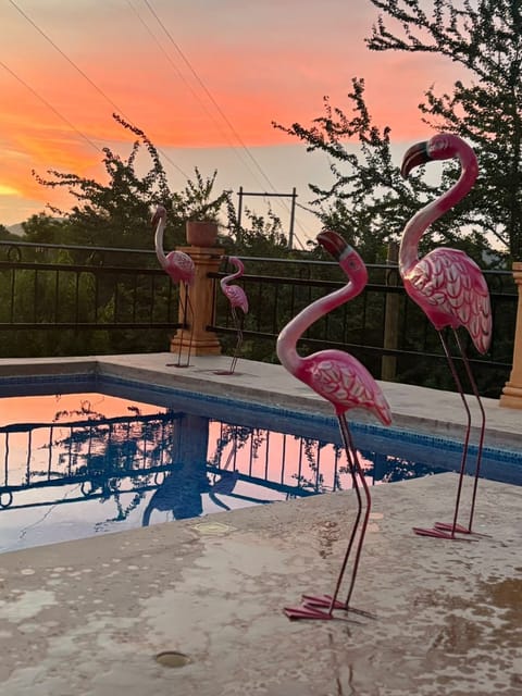 Pool view