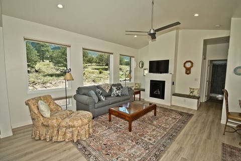 Downstairs Living Area with Foldout Couch (1)