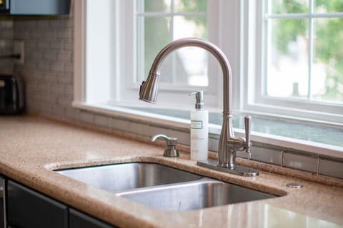 Double sink with pull down faucet