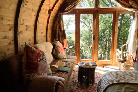 Cabin lounge & view
