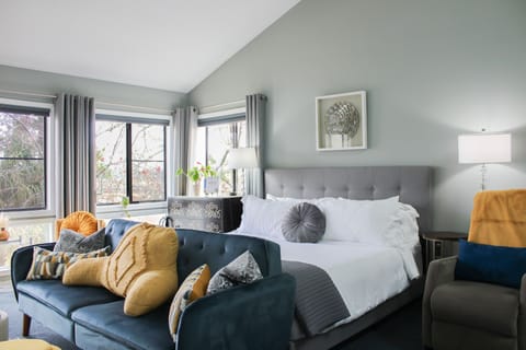 Spacious studio Condo with vaulted ceilings, skylight, and lots of natural light