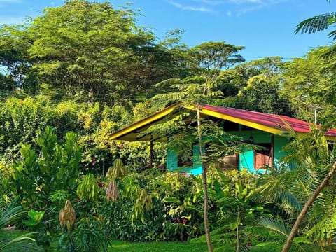 Casita Kreyol surrounded by lush foliage attracting many species of birds.