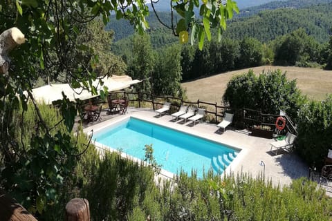 Holiday Home Swimming Pool