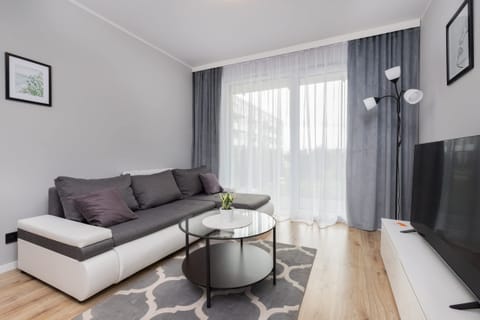 Living room with a comfortable sofa and TV. 