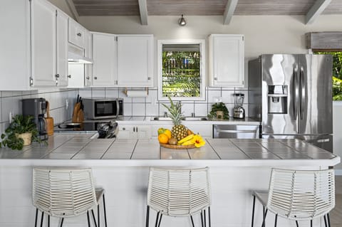 Main house Kitchen Counter