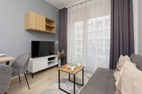 Living room with a comfortable sofa and TV. 