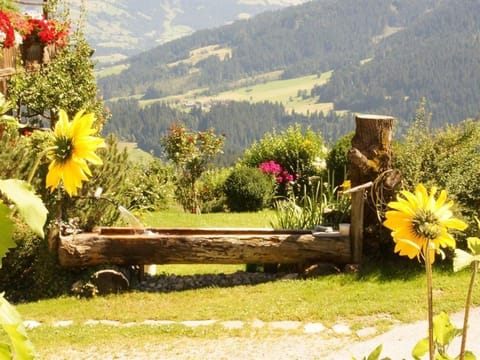 Hühnersbichlhof - Wartlsteiner Markus - Apartment/3 bedrooms/shower, WC Farm Stay in Salzburgerland