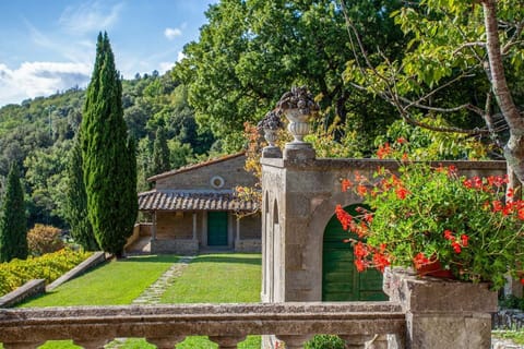 Garden and outdoor view