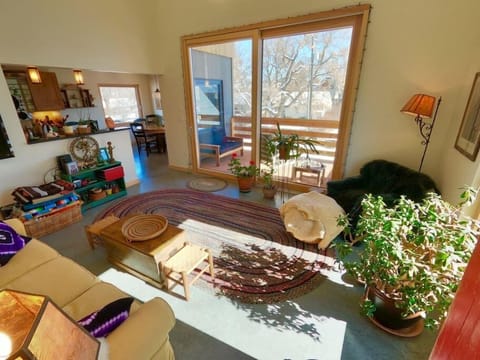 The living space is alive with light and color.