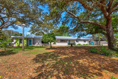 Bungalow By the Sea-Starfish