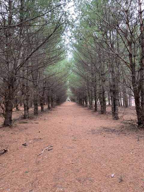 Many trails and good places to walk.