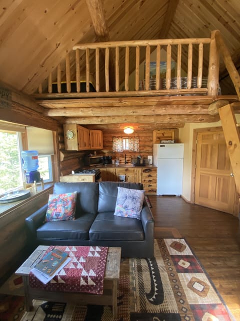 Living room sofa bed and kitchen