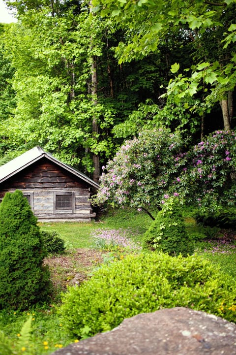 Spring in the mountains!