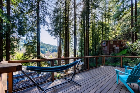 Unfold the hammock and take a nap under the gorgeous redwoods.