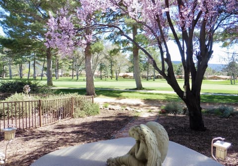 View from Rear Porch (plum tree blossoms in March)