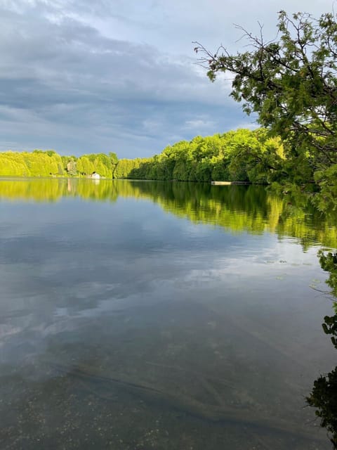 Tranquil Irish Lake