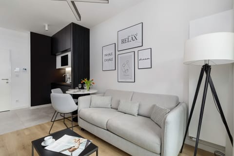 Comfortable, fold-out sofa in the living room.