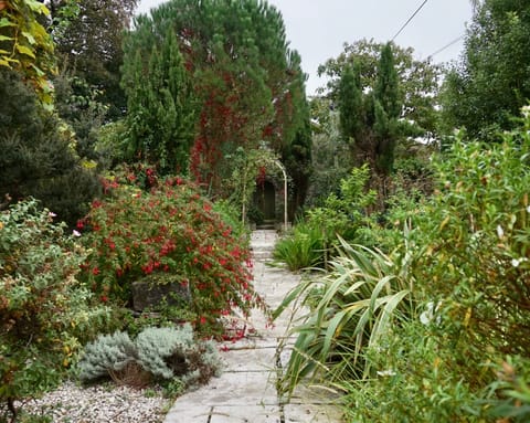 The Mediterranean Garden in summer
