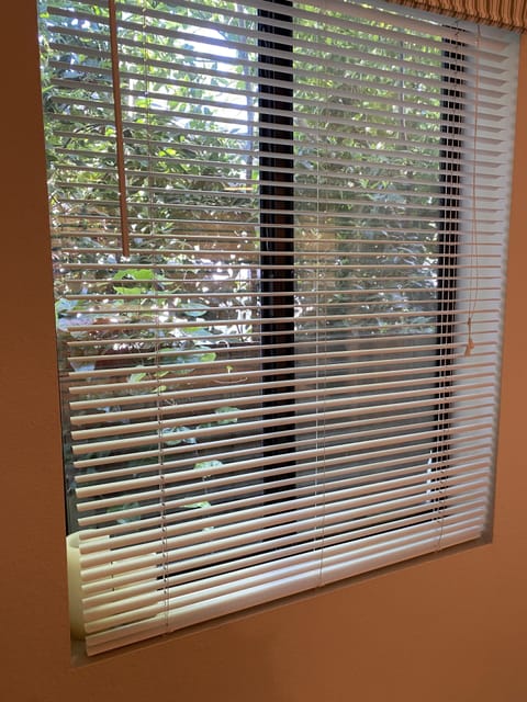 Bedroom window to side yard