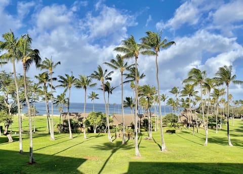 Morning view from the lanai, Feb. 2023