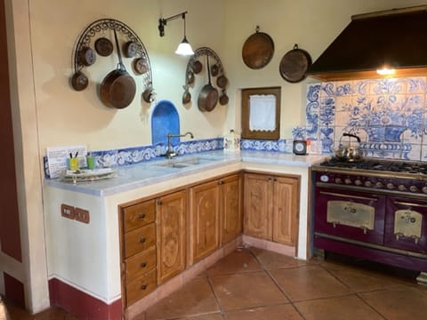 Cabinetry, Furniture, Countertop, Kitchen, Wood, Interior Design, Drawer, Flooring, Floor, Home Appliance