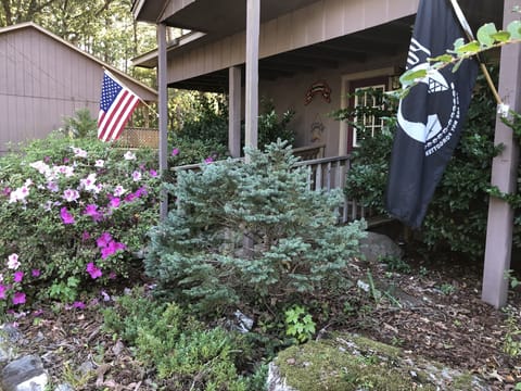 Tree, Outdoors, Shelter, Garden, Nature