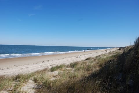 Beach, Coast, Nature, Outdoors, Sea