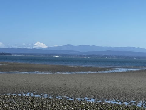 Mount Baker views from your backyard. Sandy beach at low tide.