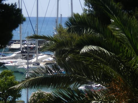 Marina