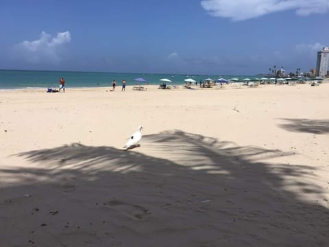 Hobbie beach near the home.