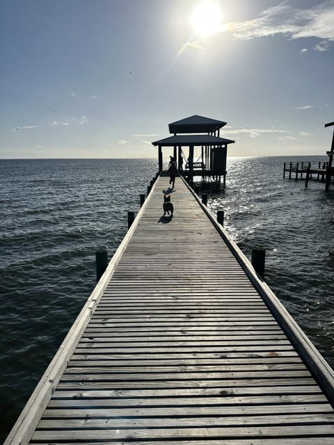 Private Pier and Covered Dock with swim ladder.
