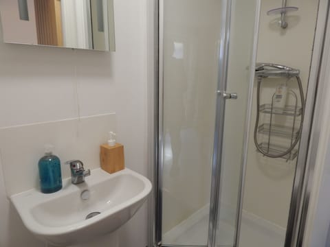Room 8 en-suite shower unit