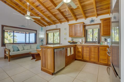 when windows become Mother Nature's art