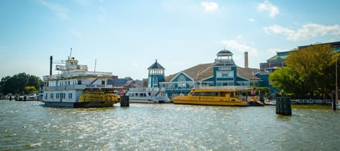 Explore the waterfront nearby and enjoy breezy, scenic strolls.