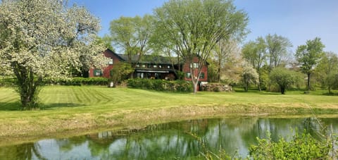 Backyard lawn and pond with the home in the background.