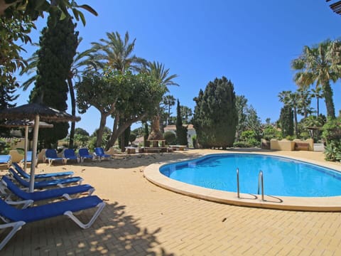 Water, Sky, Property, Plant, Azure, Tree, Blue, Shade, Botany, Swimming Pool