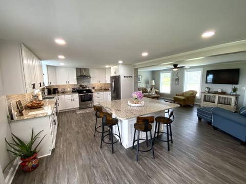 Large Open Kitchen and Living Room