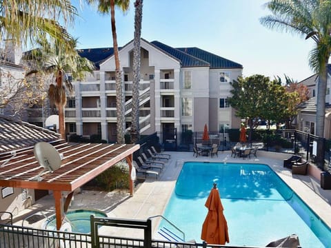 Dive into sunlit pool days surrounded by swaying palms.