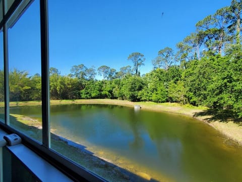 View from Master Bedroom