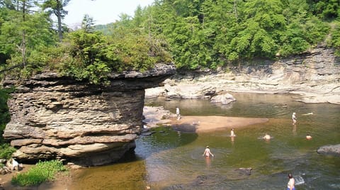 Swallow Falls State Park (swimming hole in the summer).